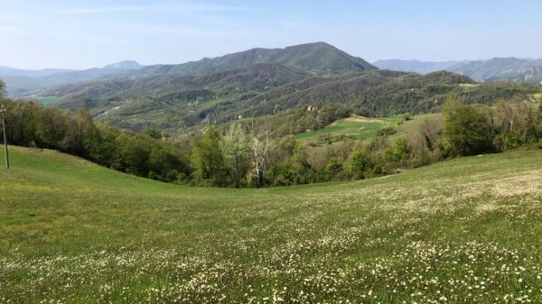 Monte Salvaro, l’ultima battaglia dei sudafricani prima della pausa invernale